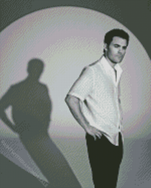 Monochrome Paul Wesley Diamond Paintings