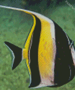 Moorish idol Diamond Paintings