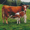 Mother and baby cow Diamond Paintings