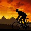 Mountain Biker Silhouette Diamond Paintings