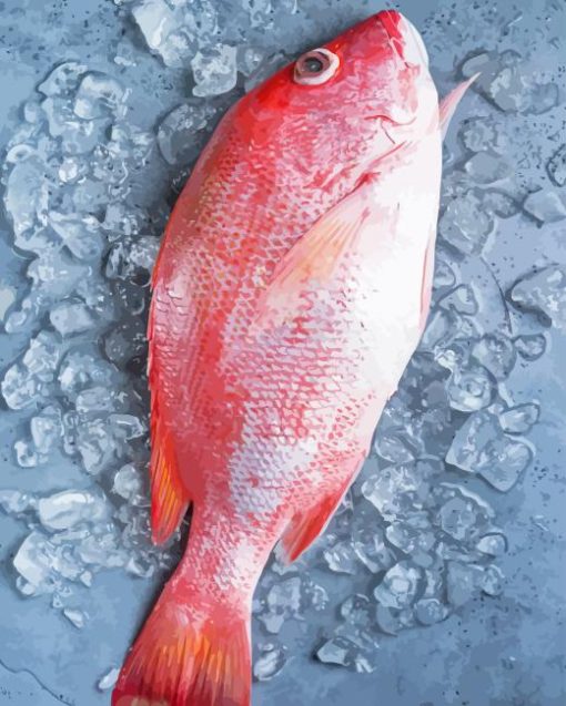 Northern red snapper Diamond Paintings