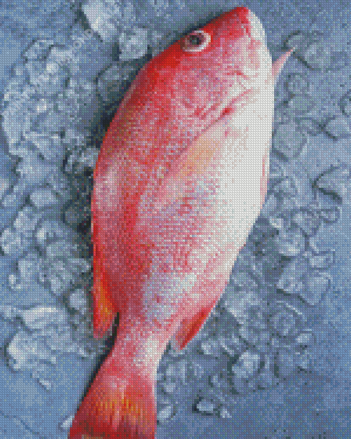 Northern red snapper Diamond Paintings