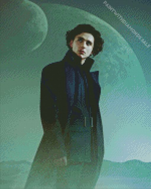 paul atreides timothee Diamond Paintings