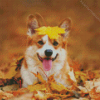 Pembroke Welsh Corgi Diamond Paintings