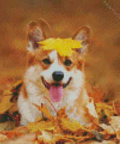 Pembroke Welsh Corgi Diamond Paintings