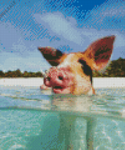 Pig In The Beach Diamond Paintings