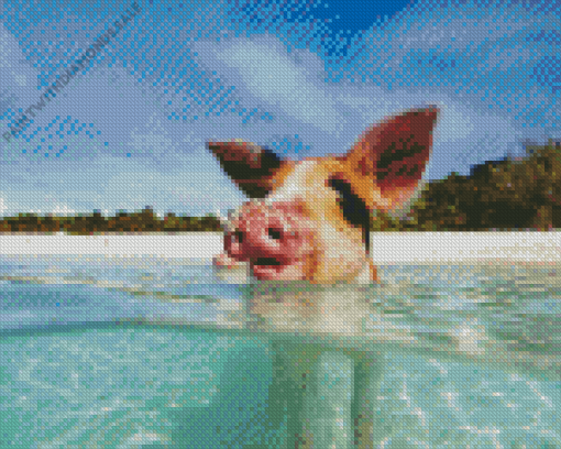 Pig In The Beach Diamond Paintings