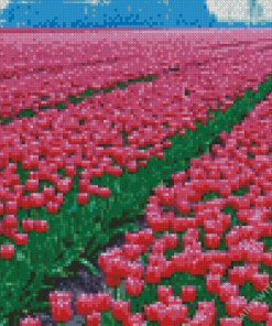Pink Tulip field Diamond Paintings