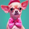 Pink chihuahua dog Diamond Paintings