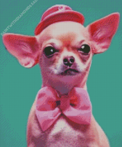 Pink chihuahua dog Diamond Paintings