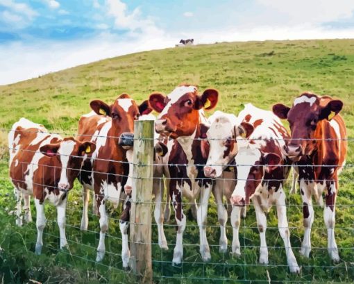 Wild Ayrshire cows Diamond Paintings