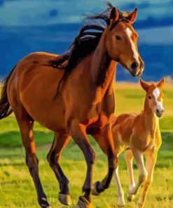 Wild mare and foal in pasture Diamond Paintings