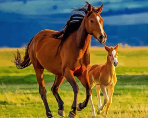 Wild mare and foal in pasture Diamond Paintings