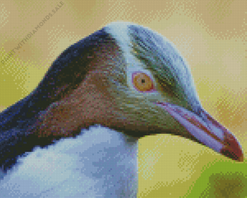 Yellow eyed Penguin Diamond Paintings