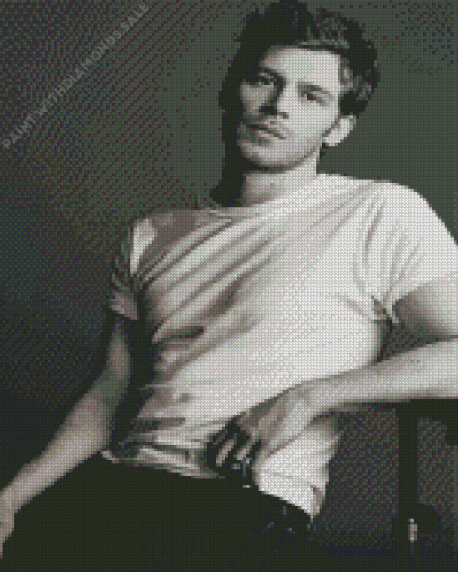 Black And White Joseph Morgan Diamond Painting