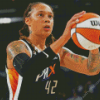 brittney griner Diamond Paintings