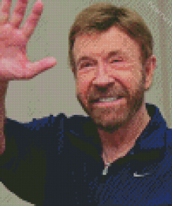 chuck norris Diamond Paintings