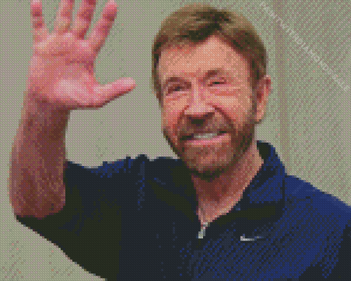 chuck norris Diamond Paintings