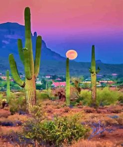 desert with cactus Diamond Paintings