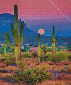 desert with cactus Diamond Paintings