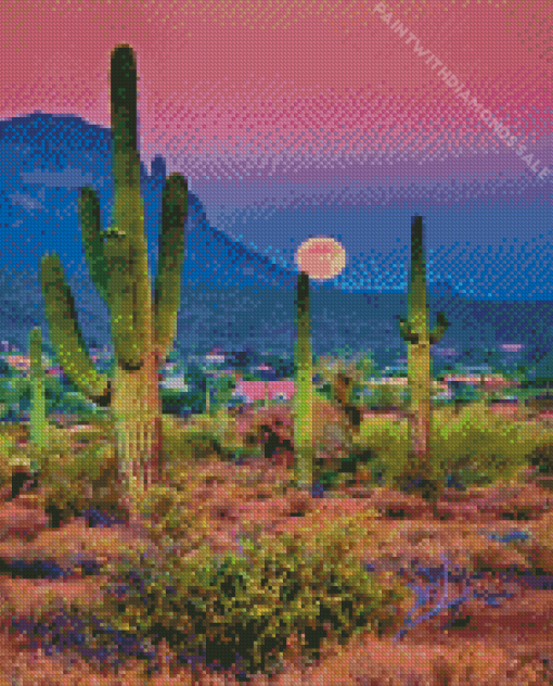 desert with cactus Diamond Paintings