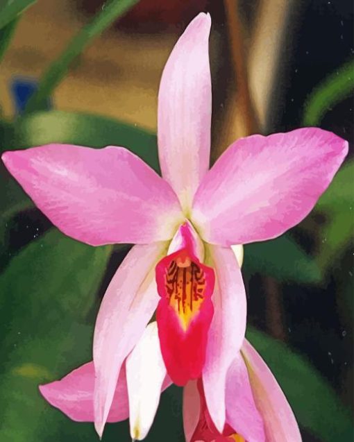 Laelia Diamond Painting