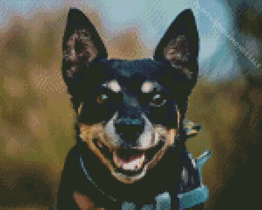 lancashire heeler Diamond Paintings