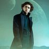 paul atreides timothee Diamond Paintings