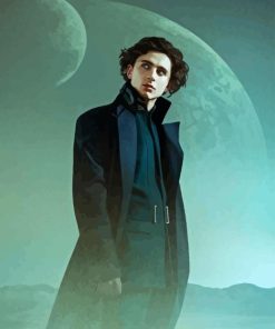 paul atreides timothee Diamond Paintings