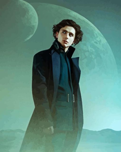 paul atreides timothee Diamond Paintings