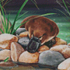 platypus Diamond Paintings