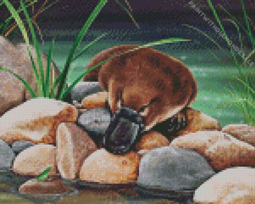 platypus Diamond Paintings