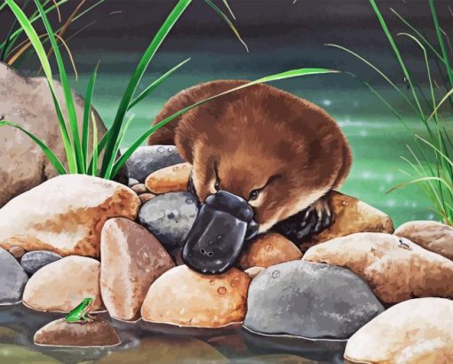 platypus Diamond Paintings