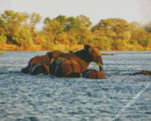 African Zambezi Diamond Painting