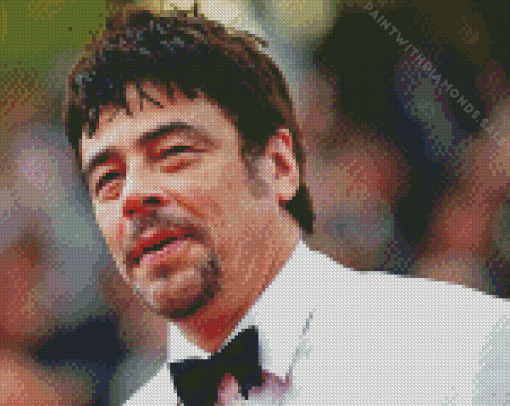 Benicio Del Toro Diamond Painting