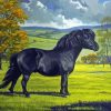 Black Shetland Pony Diamond Painting