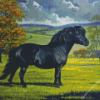 Black Shetland Pony Diamond Painting