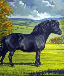 Black Shetland Pony Diamond Painting