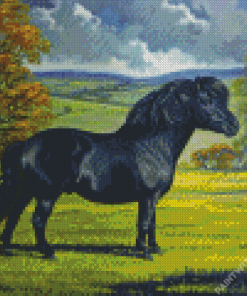 Black Shetland Pony Diamond Painting