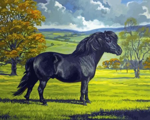 Black Shetland Pony Diamond Painting