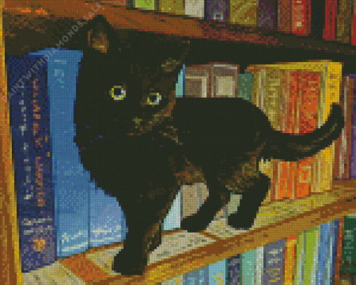 Black Cat In Library Diamond Painting