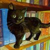 Black Cat In Library Diamond Painting