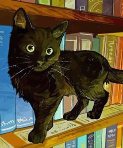 Black Cat In Library Diamond Painting