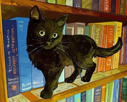 Black Cat In Library Diamond Painting