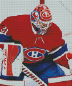 Carey Price Diamond Painting