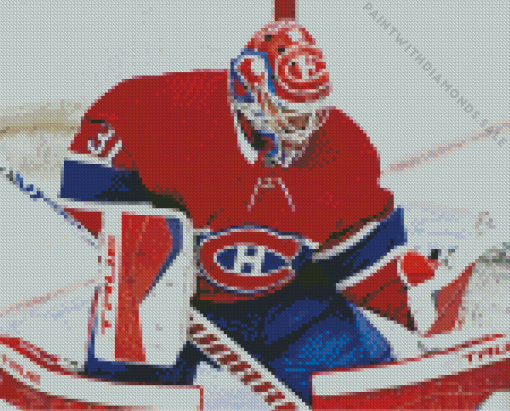 Carey Price Diamond Painting