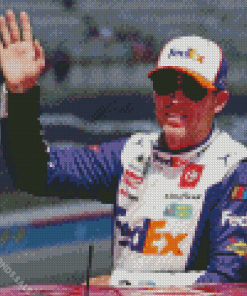 Denny Hamlin Diamond Painting