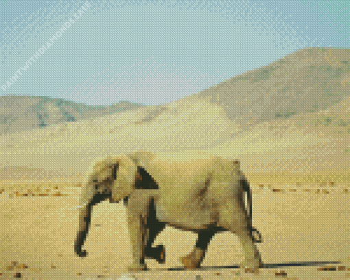 Desert Elephant Diamond Painting