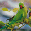 Indian Ringneck Diamond Painting