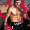 Joe Calzaghe Diamond Painting